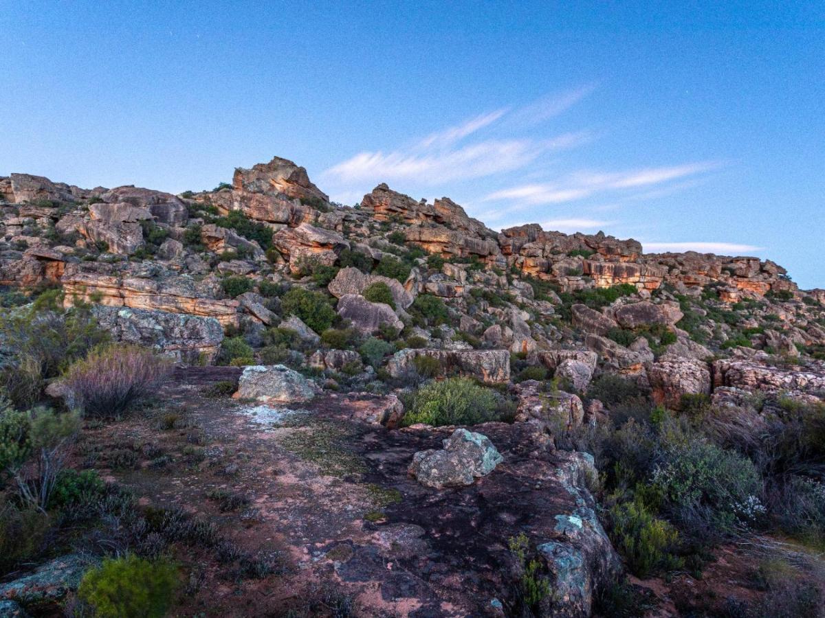 Alpha Excelsior Guest Farm Villa Clanwilliam Exterior photo