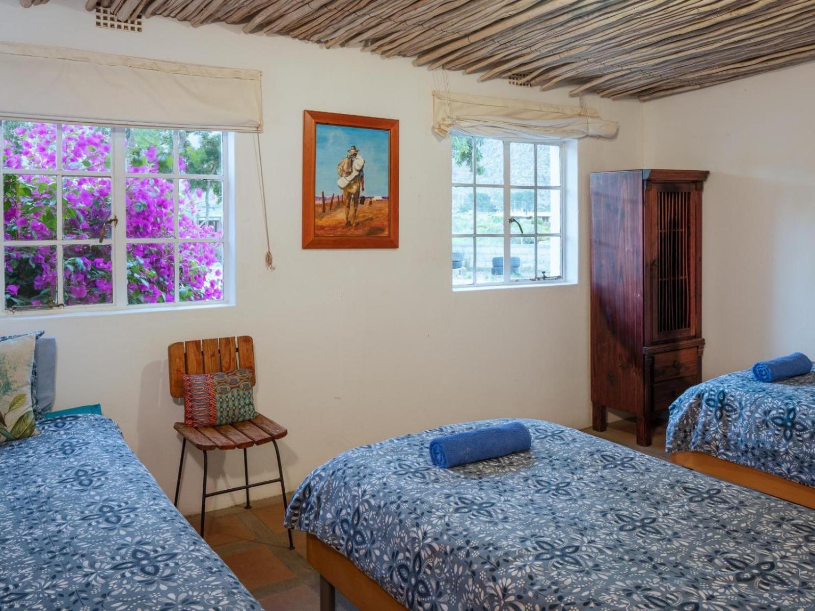 Alpha Excelsior Guest Farm Villa Clanwilliam Room photo