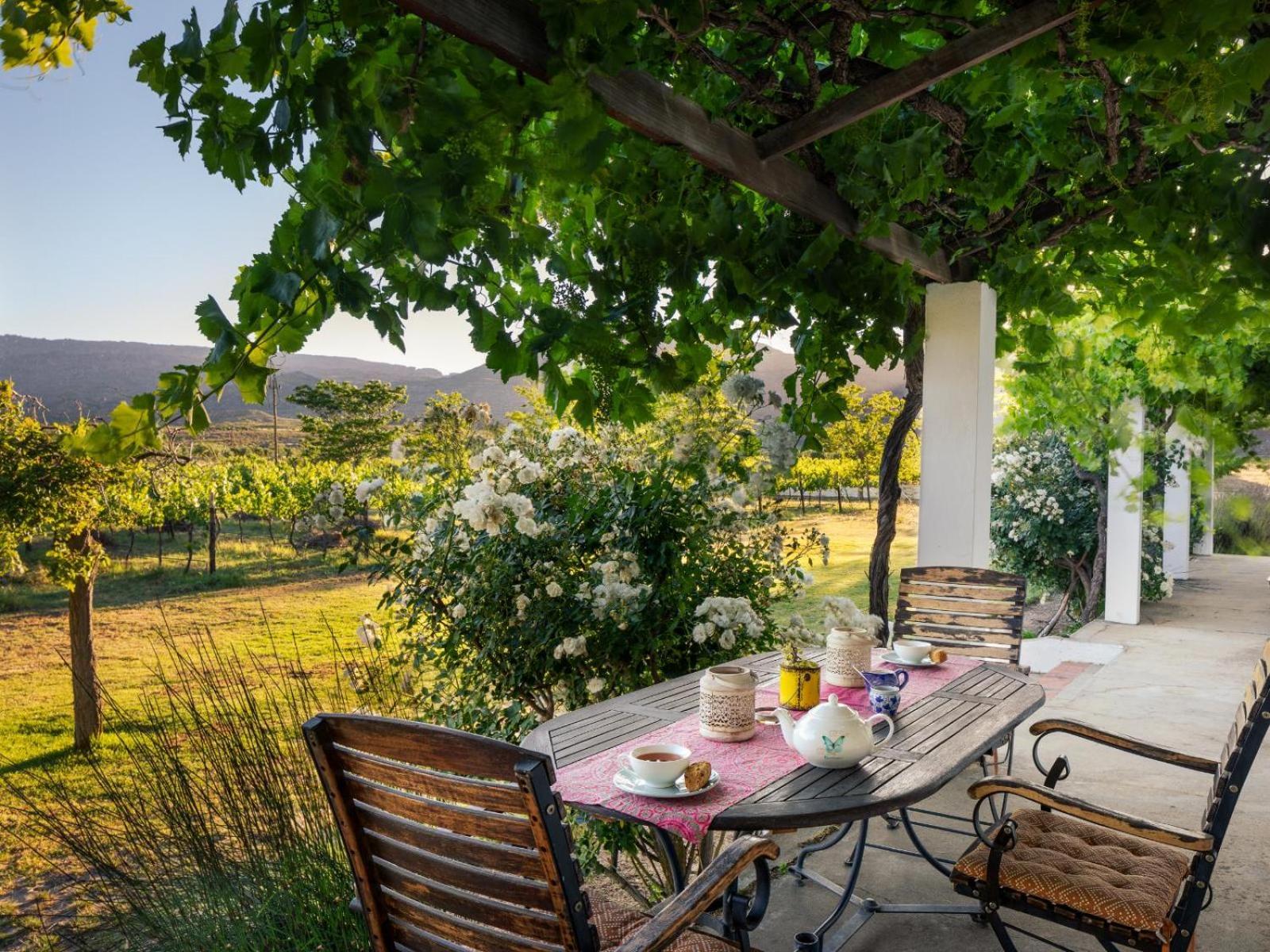 Alpha Excelsior Guest Farm Villa Clanwilliam Room photo